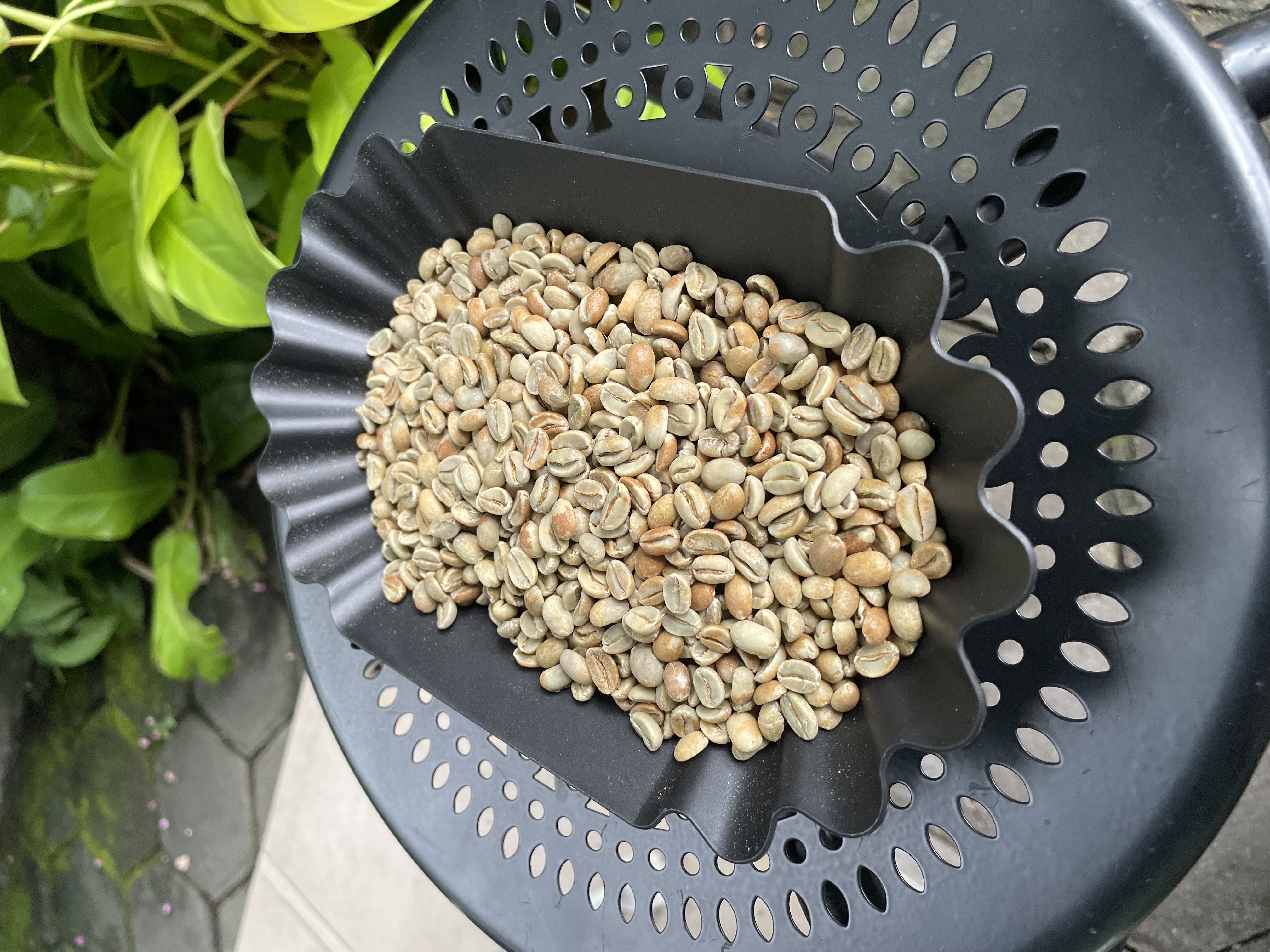 Natural Extended Mix Variety - Bener Kelipah