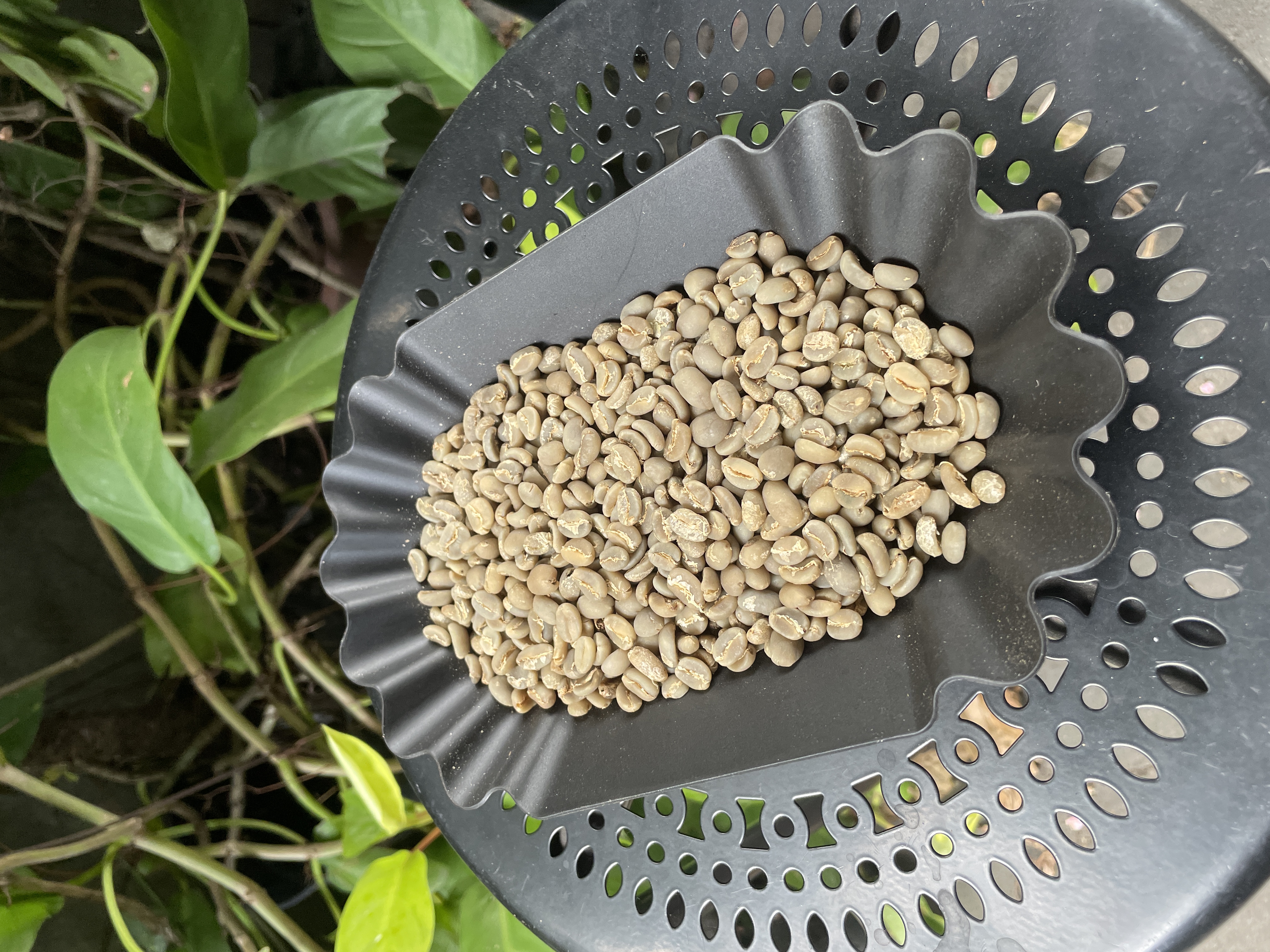 Wethulled Mix Variety - Ratawali