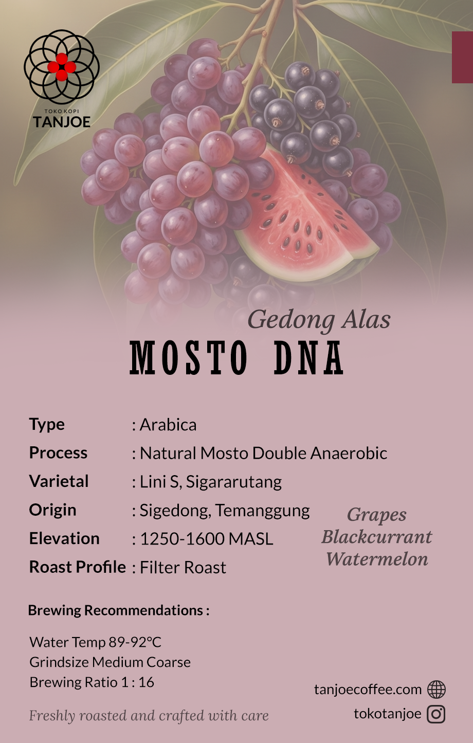 Seasonal - Mosto DNA Gedong Alas 200gr